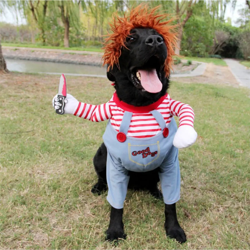 Funny Dog Costume